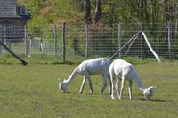 Gisella en Heidi - april 2021